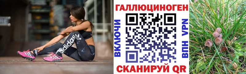 Псилоцибиновые грибы Cubensis  цена наркотик  Дмитров 