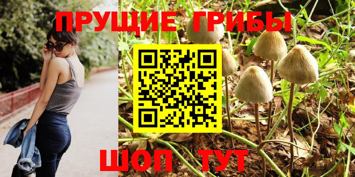 Псилоцибиновые грибы мицелий  Вход с VPN  Дмитров 