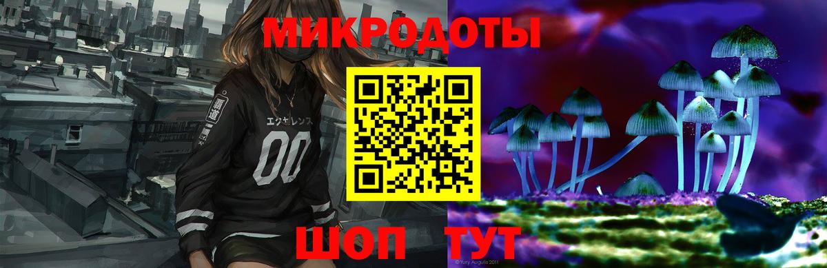 Псилоцибиновые грибы мухоморы Дмитров