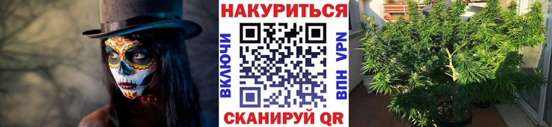 купить наркотики цена  Дмитров  Канабис тримм 