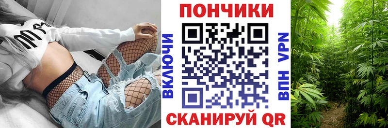 Канабис Bruce Banner Дмитров